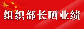 组织部长晒业绩