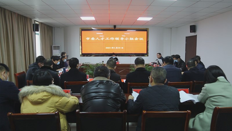 桐城市委常委组织部长统战部长金秋明主持召开市委人才工作领导小组