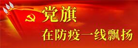党旗在防疫一线飘扬