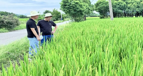 38814a512fa8ad301c3a567706a1cf15.jpg 38814a512fa8ad301c3a567706a1cf15.jpg