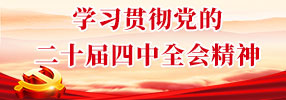 学习贯彻党的二十届四中全会精神
