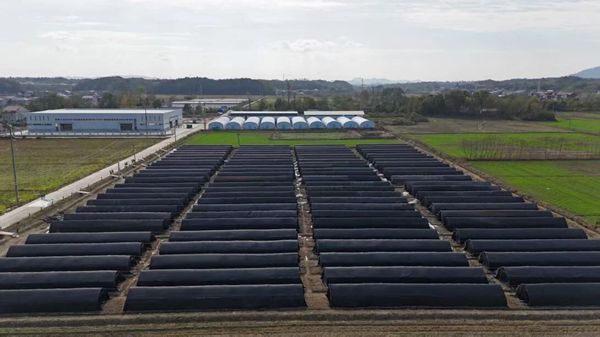 00c7e8b704e450b1c75d84be8a4dcfb9.jpg 00c7e8b704e450b1c75d84be8a4dcfb9.jpg