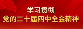 学习贯彻党的二十届四中全会精神